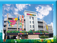 ドキわくランド聖蹟桜ヶ丘店